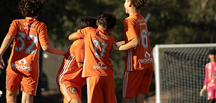 DSC00743.jpg