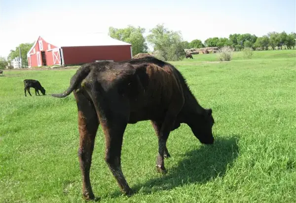 fracking-farmland-3.webp