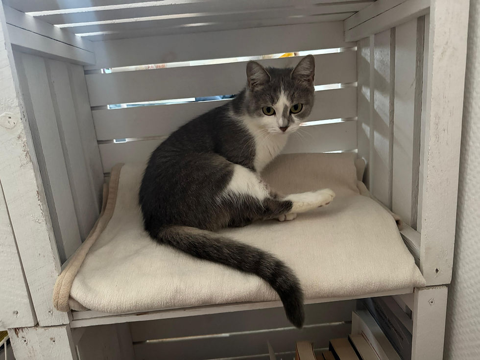 93b47c94-7cf6-4e79-9443-11b248527edb