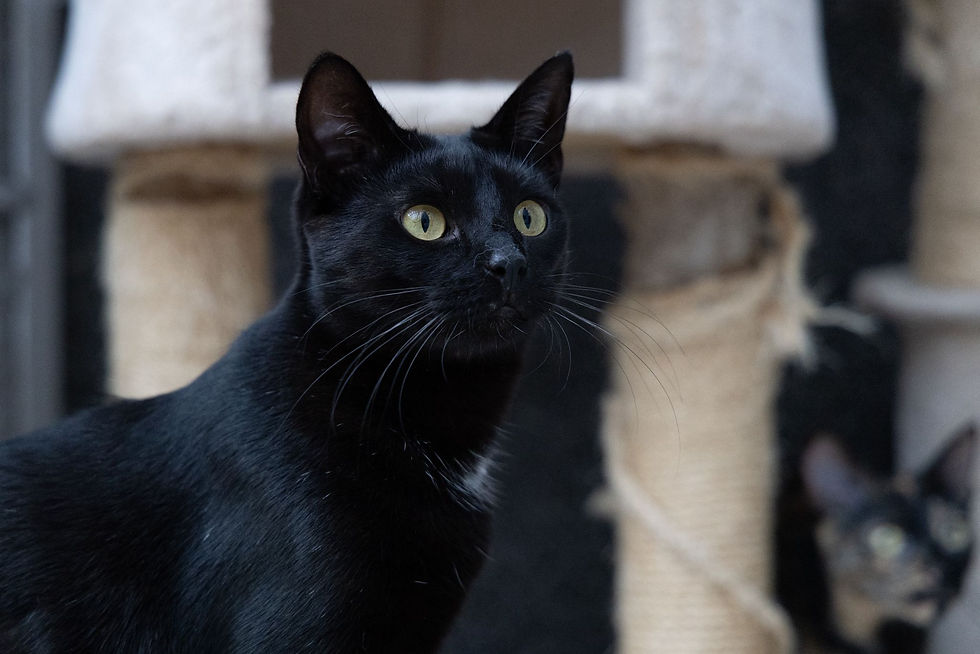 PHOTO-2025-08-29-23-21-48