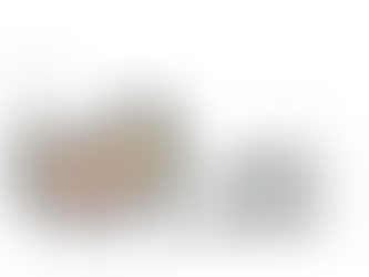 Parent au fil du temps