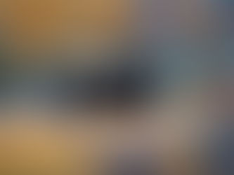 Auf den Spuren der Moschusochsen