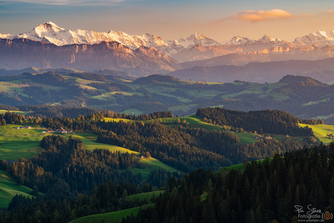 Emmental
