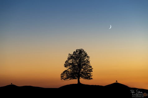 Sonne Mond und Bäume