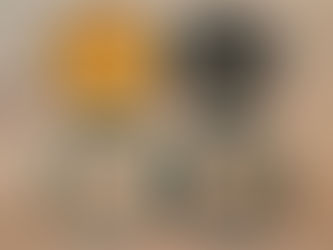 Der richtige Rundfilter für den passenden Step-Up-Ring – ein praktischer Leitfaden für Fotografen