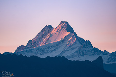 Emmental