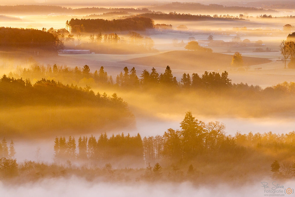 Das Licht wird intensiver und fällt wunderschön in die Landschaft