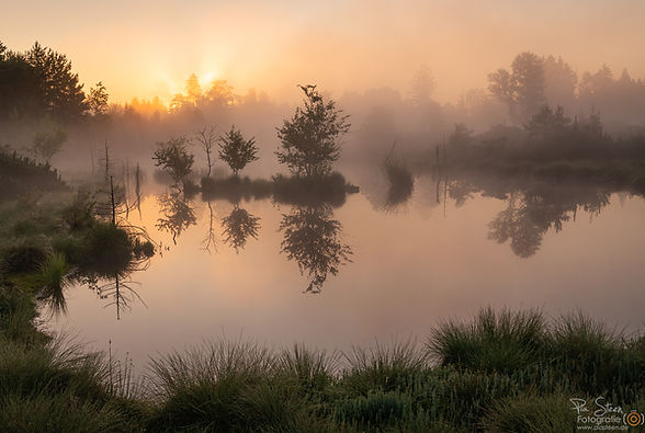 Hochmoor