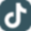 icon-tiktok.png