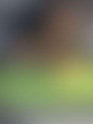 How the Anxiety Room Helps Sensitive Dogs Feel Safe During Boarding