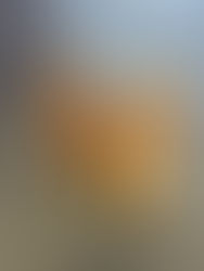 Holiday Dog Boarding in Goldsby, Washington & Norman, OK: Your Dog’s Cozy Home for Thanksgiving & Christmas