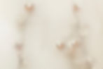 blurry-christmas-social-media-banner-with-design-space.jpg