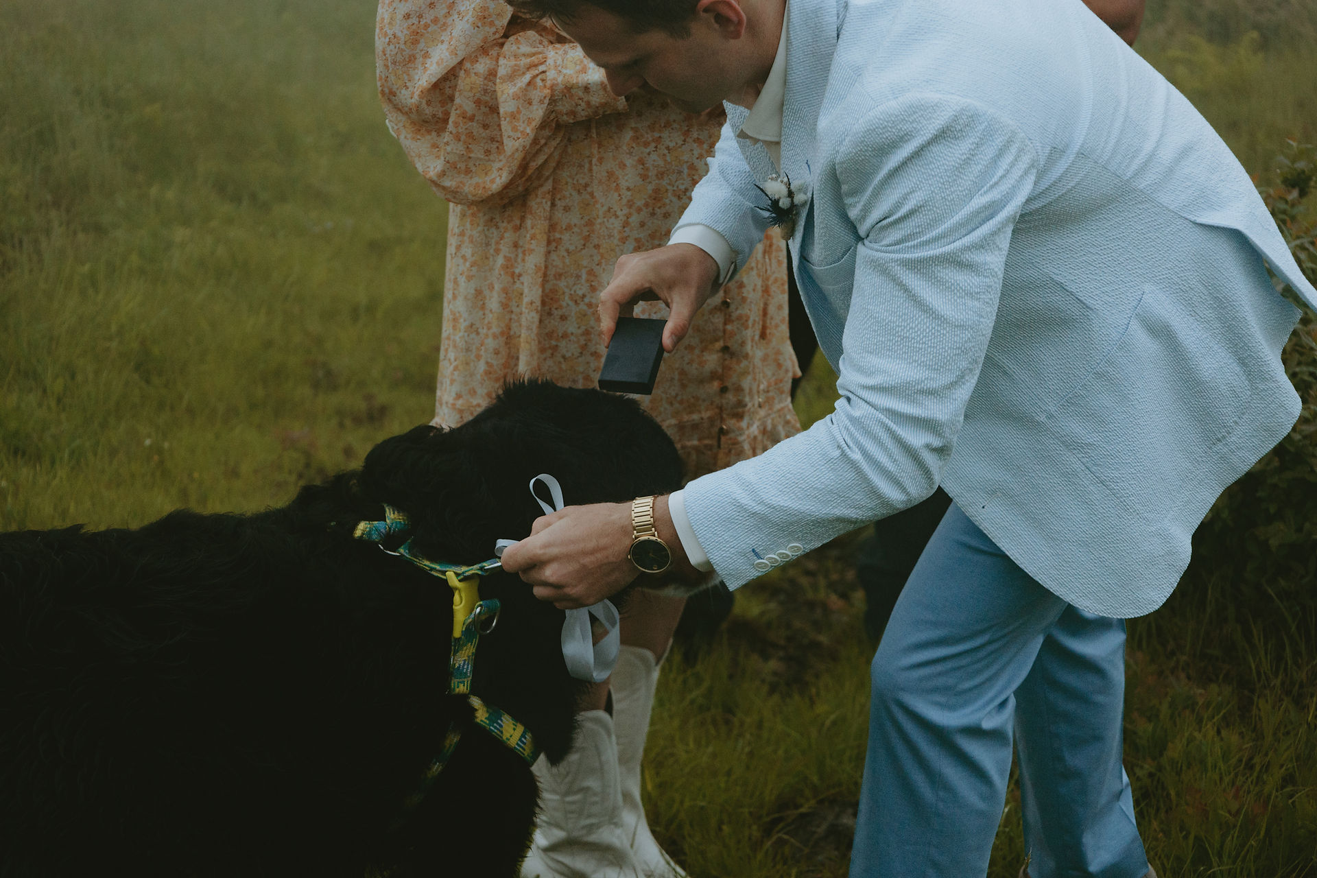 Groom removing ring box from their dog’s collar during their adventure elopement.their adventure elopement.