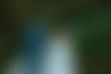 Bride and groom walking hand in hand after wedding ceremony at Leeric Lodge