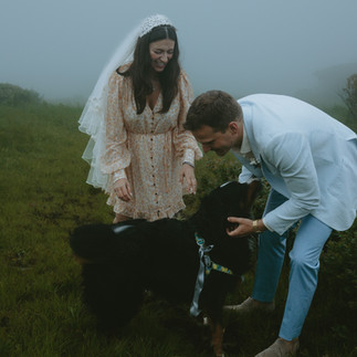 Couple helping their dog during a foggy mountaintop adventure elopement.