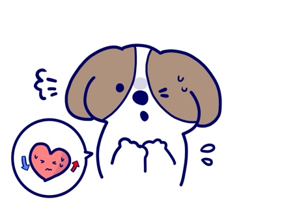 犬の心臓病について