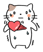 猫の心臓病について