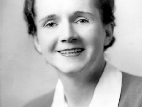 A portrait of Rachel Carson