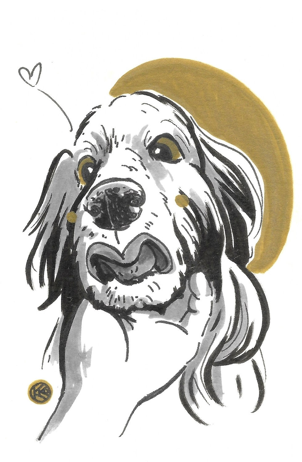 狗-黃金獵犬5