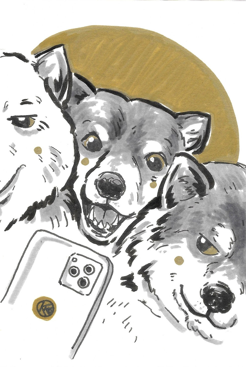 狗-柴犬13