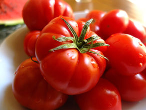 How to Grow Productive Tomatoes