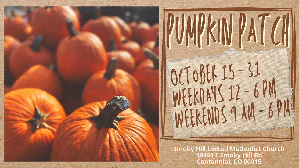 Pumpkin Patch