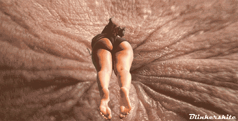 Diving into Booty (Gif)