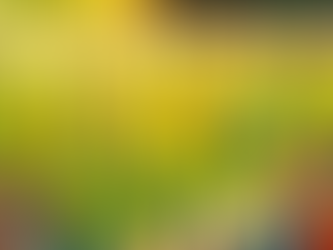 Finding the Right Soccer Club: A Guide to Local Soccer Opportunities