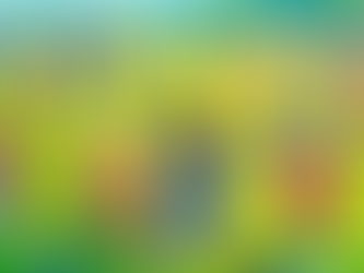 Everything You Need to Know About Soccer Summer Camps