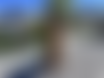 Appa | German Shepherd | Lake Forest, CA | In-Training