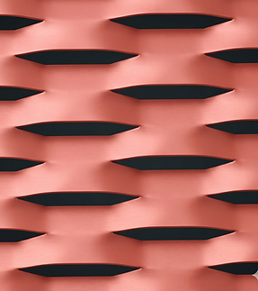 TULIP-20.png