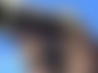 沙特被指控大規模屠殺數百名來自非洲的非法移民