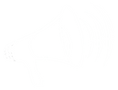 png-transparent-megaphone-megaphone-hand-computer-logo-removebg-preview.png