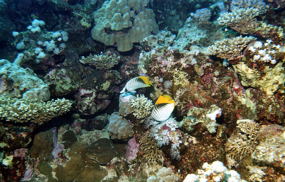 Marsa Alam-075