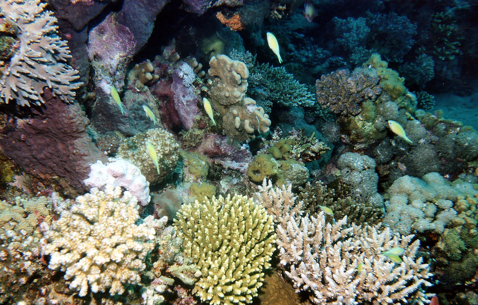 Marsa Alam-039