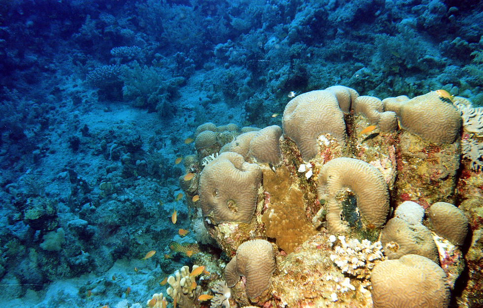 Marsa Alam-016