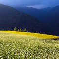pixta_30305048_M.jpg