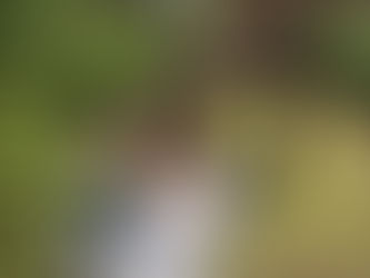 HCA WEEKLY UPDATE + NEWS