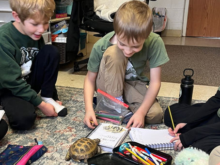 HCA WEEKLY UPDATE + NEWS