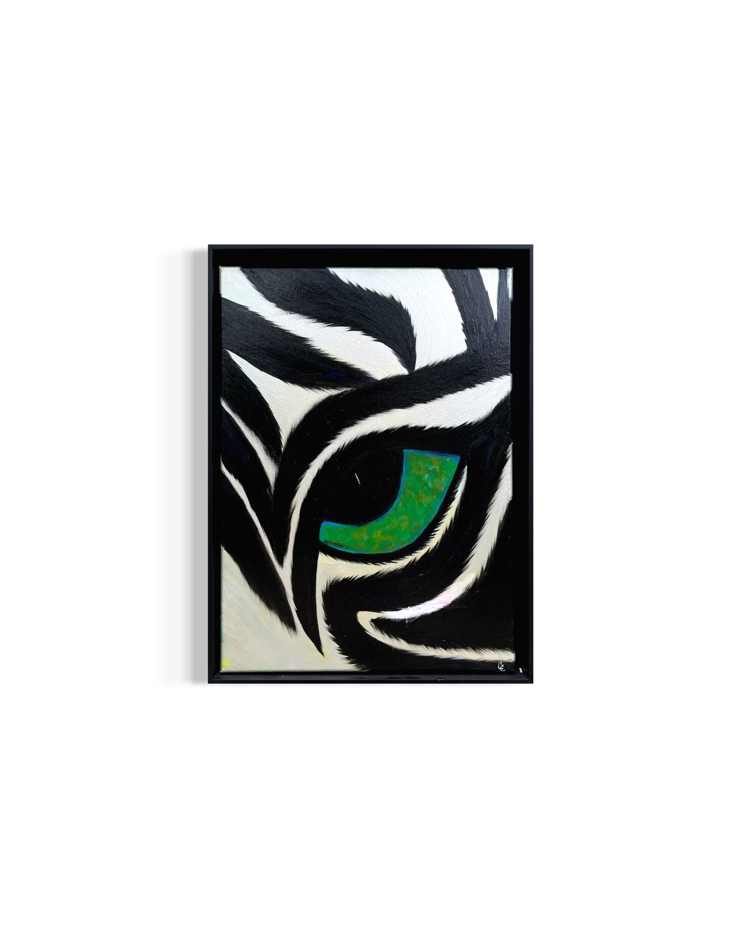 Eye of the Zebra