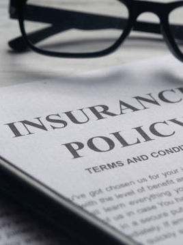 Understanding Insurer: A Thorough Review