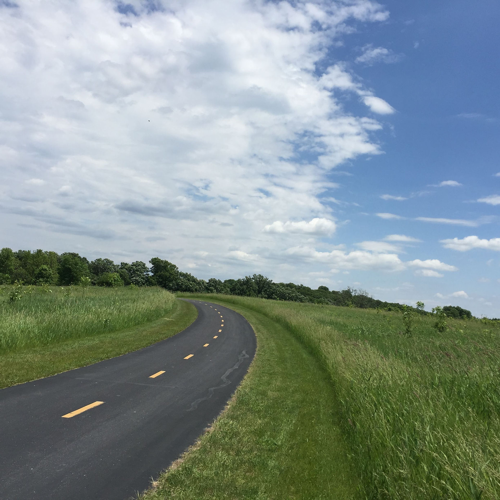 Bike path cutting through the prairie at Carver Park Reserve