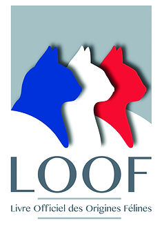 LOGO LOOF.jpg