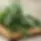 rosemary sage +5.webp