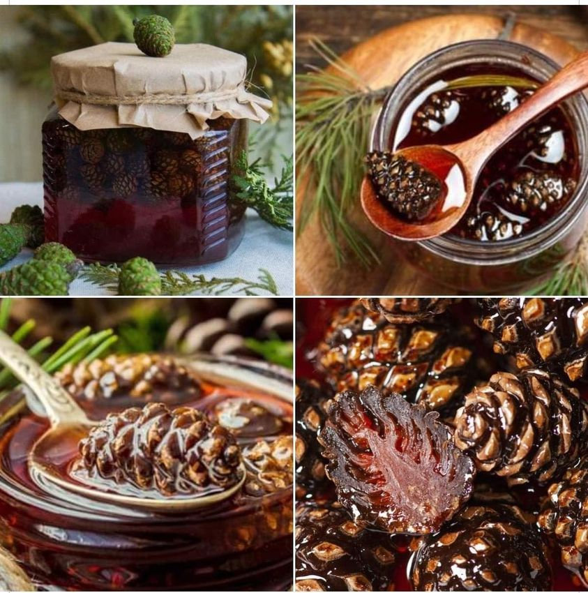 Recette surprenante: La Confiture de Pommes de Pins