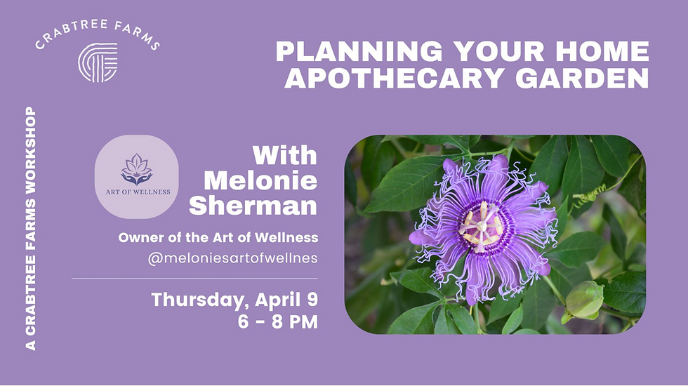 Planning Your Apothecary Garden
