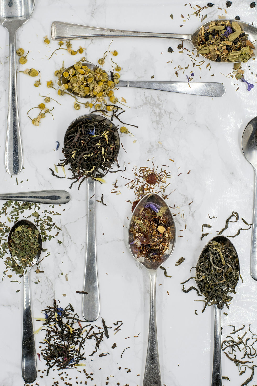 Make & Take: Intro to Herbal Medicine