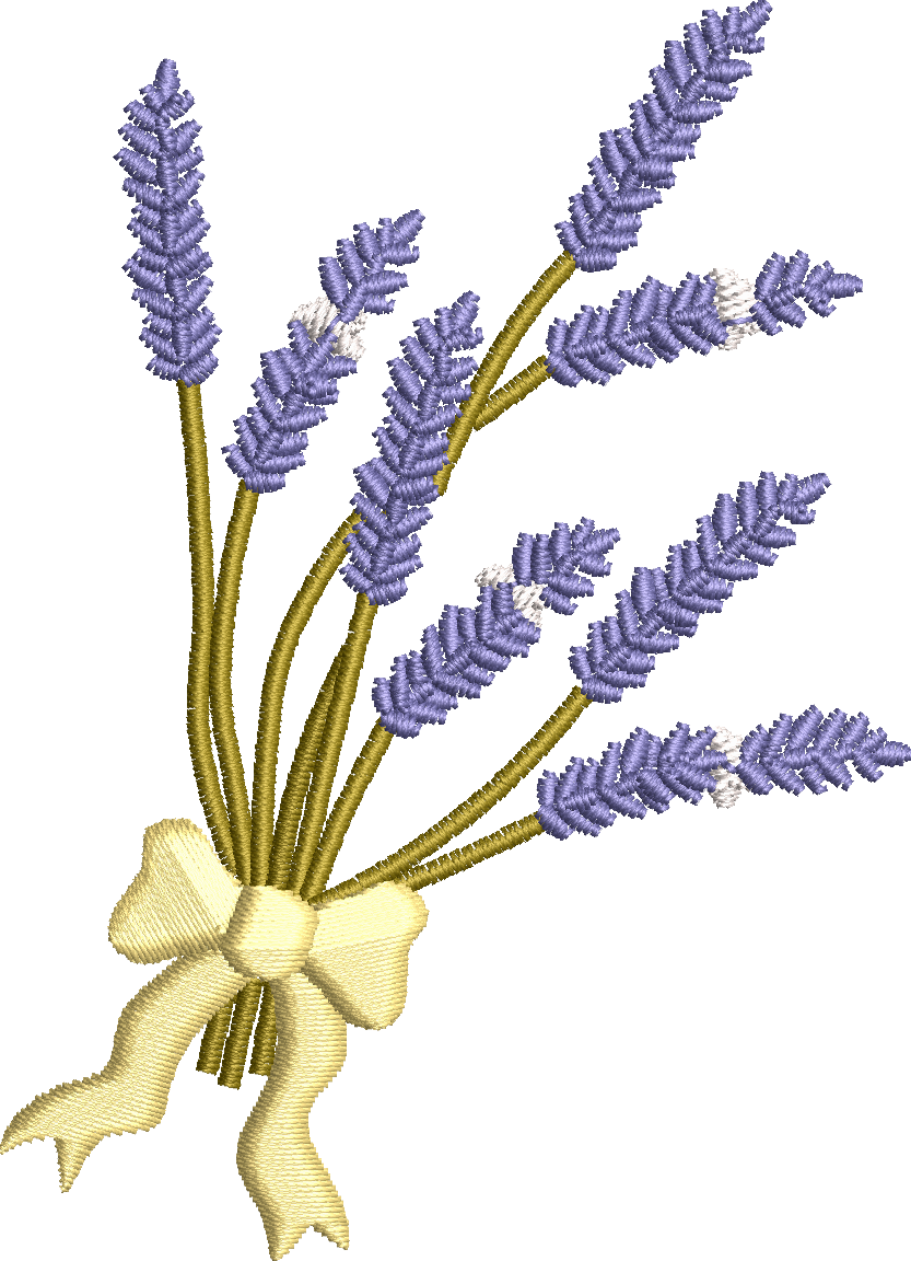 Miniatura: Lavanda 70 ud.