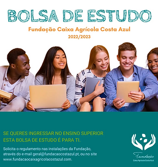 Captura de ecrã 2026-02-14 130357.png