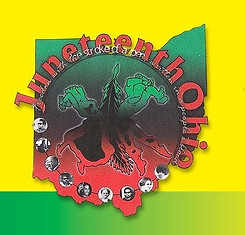 juneteenth-ohio-festival-banner-2013-60-